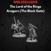 Aragorn The Black Gate