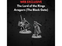 Aragorn The Black Gate