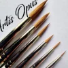 Artis Opus Series S Brush Set COMPLETE