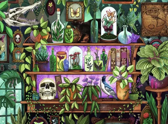A Witchs Favorite Things 2000 biter