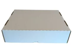 BCW Card Box Lagring 4000 kort