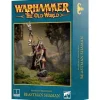 Beastmen Brayherds Beastman Shaman