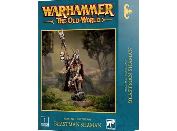 Beastmen Brayherds Beastman Shaman