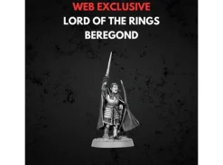 Beregond Guard of the Citadel