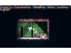 Beyond the Ice Palace 2 Switch