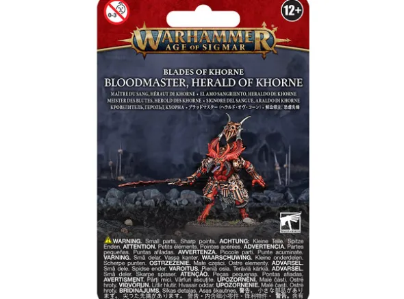 Blades of Khorne Bloodmaster Herald of K