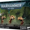 Blood Angels Sanguinary Guard