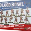 Blood Bowl Bretonnia Team