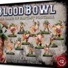 Blood Bowl Team Nurgles Rotters