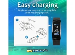 Brook Pocket Auto Catch Watchic Lite