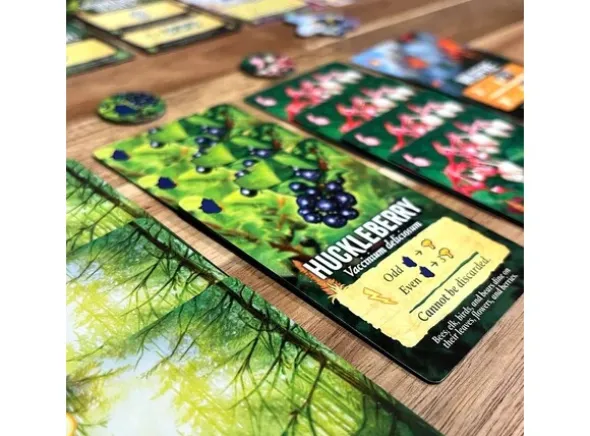 Canopy Evergreen Brettspill