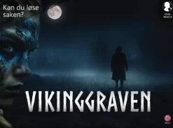 Cold Case Vikinggraven Brettspill