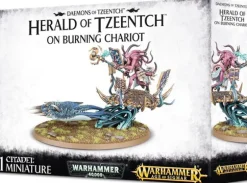 Daemons of Tzeentch Herald of Tzeentch