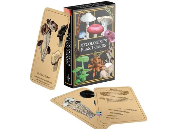 D&D 5E Mycologists Primer Flash Cards