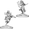 D&D Figur Nolzur Air Genasi Rogue Female