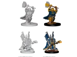 D&D Figur Nolzur Dwarf Paladin Male