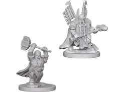 D&D Figur Nolzur Dwarf Paladin Male
