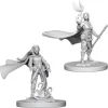 D&D Figur Nolzur Elf Druid Female