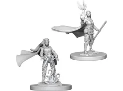 D&D Figur Nolzur Elf Druid Female