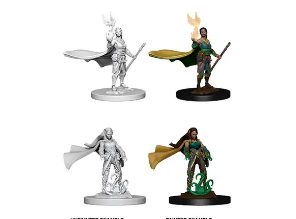 D&D Figur Nolzur Elf Druid Female