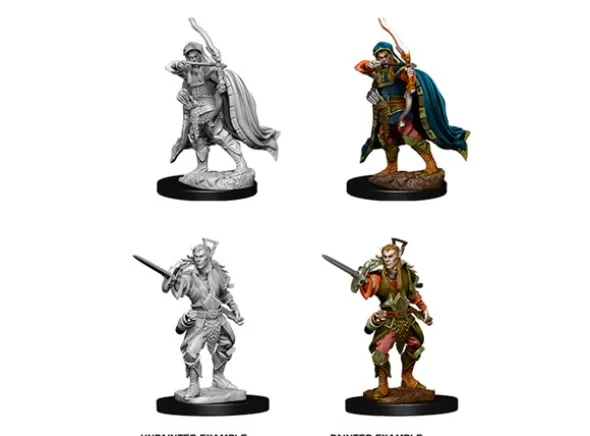 D&D Figur Nolzur Elf Rogue Male