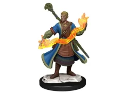 D&D Figur Nolzur Half-Elf Wizard Male
