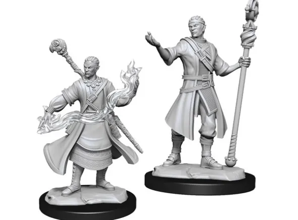 D&D Figur Nolzur Half-Elf Wizard Male