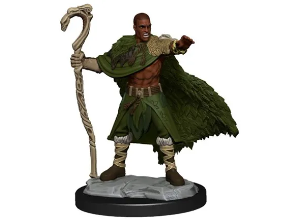 D&D Figur Nolzur Human Druid Male