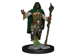 D&D Figur Nolzur Human Druid Male