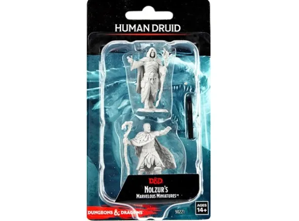 D&D Figur Nolzur Human Druid Male