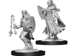 D&D Figur Nolzur Kalashtar Cleric Female