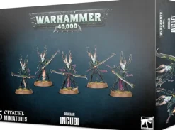 Drukhari Incubi