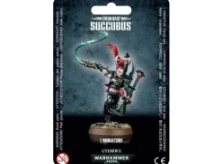 Drukhari Succubus