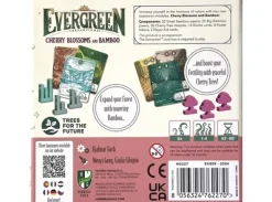 Evergreen Cherry Blossoms & Bamboo Exp