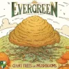 Evergreen Giant Trees & Mushrooms Exp