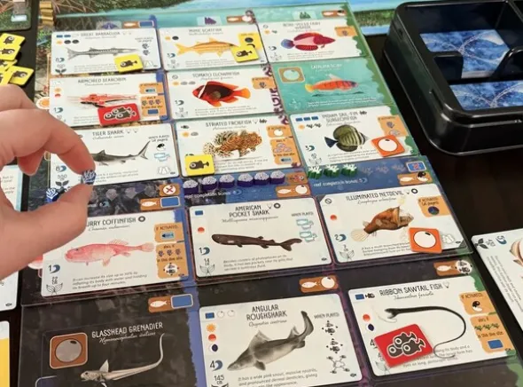 Finspan Sharks & Reefs Expansion