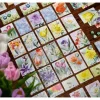 Floriferous Brettspill