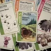 Fluxx Hundred Acre Wood Kortspill