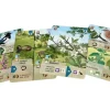 Forest Shuffle Woodland Edge Expansion