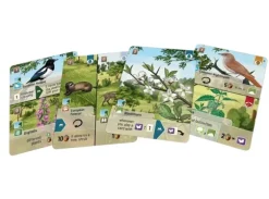 Forest Shuffle Woodland Edge Expansion