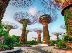 Garden by the Bay Singapore 1500 biter