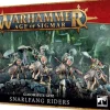 Gloomspite Gitz Snarlfang Riders