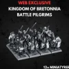 Kingdom of Bretonnia Battle Pilgrims