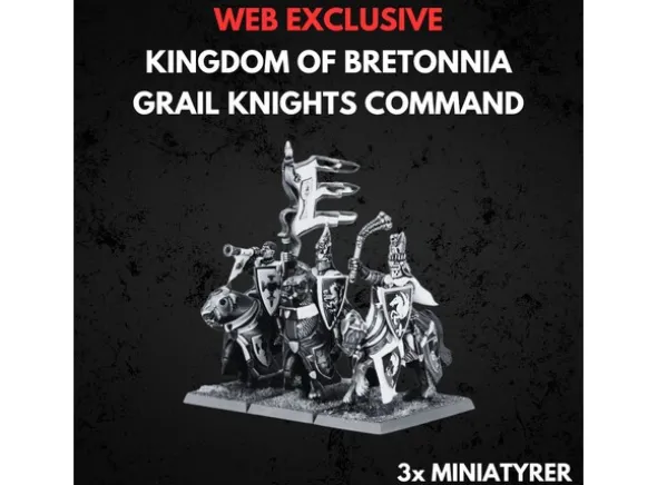 Kingdom of Bretonnia Grail Knights Comma