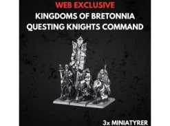 Kingdom of Bretonnia Questing Command