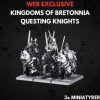 Kingdom of Bretonnia Questing Knights