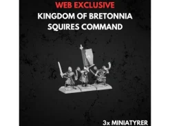 Kingdom of Bretonnia Squires Command