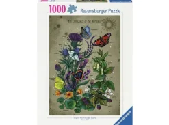 Lifecircle Butterfly 1000 biter