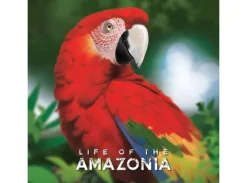 Life of the Amazonia Brettspill