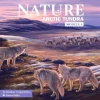 Nature Arctic Tundra Expansion